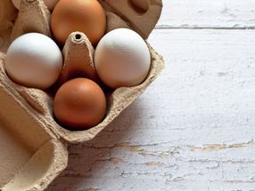 Eier essen mit gutem Gewissen - nicht nur Ostern