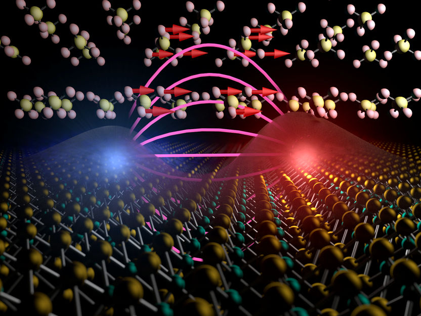 Electrons in a plaster - Researchers have tailored the mutual interaction of electrons in an atomically thin solid by simply covering it with a crystal featuring hand-picked lattice dynamics