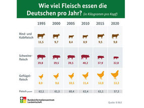 Wie viel Fleisch essen die Deutschen pro Jahr?
