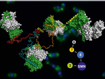 First 3D Images of a Giant Molecule