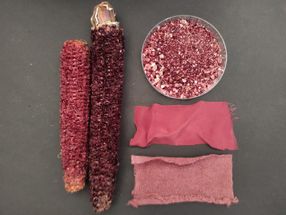 Researchers extracted pigment from purple corn cobs (left) for supplements and dyeing fabrics (bottom right), and tested the remaining grounds (top right) for animal litter.