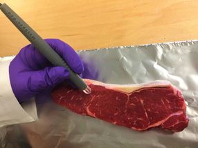 Der MasSpec Pen kann die Art und Reinheit von Fleischproben in nur 15 Sekunden authentifizieren.