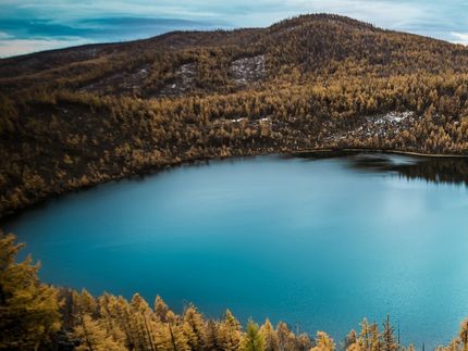 Biocombustible neutro en carbono a partir de los lagos