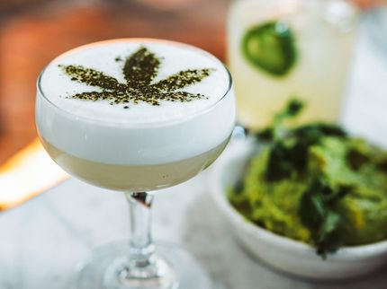 BevCanna Signs White-Label Agreement to Manufacture and Distribute Cannabis-Infused Beverages for Enthusiasmus Inc