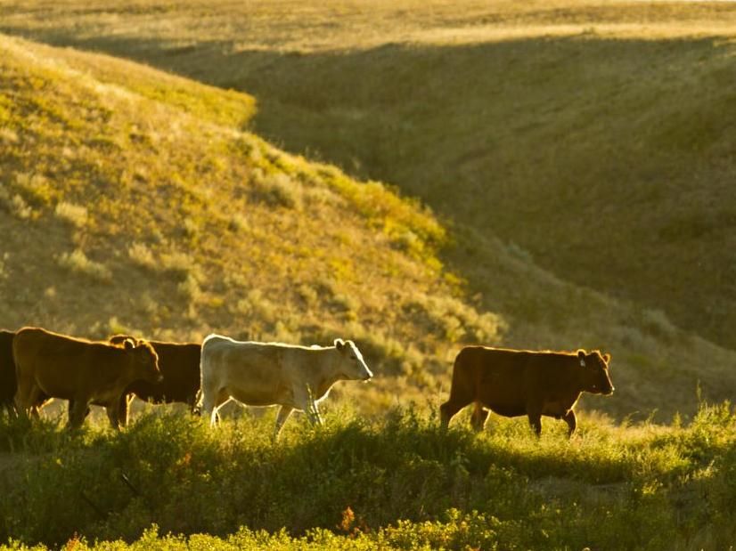 Kenton Rowe for The Nature Conservancy