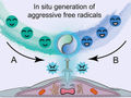 Radical Attack on Live Cells