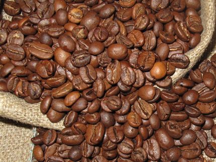 Cómo afecta el cambio climático a la producción de café en Colombia