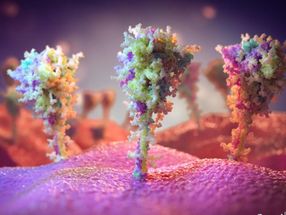 Erste Bilder von Zellen, die dem COVID-19-Impfstoff ausgesetzt wurden, zeigen nativ-ähnliche Coronavirus-Spikes