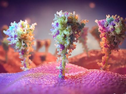 Las primeras imágenes de células expuestas a la vacuna COVID-19 revelan picos de Coronavirus similares a los nativos