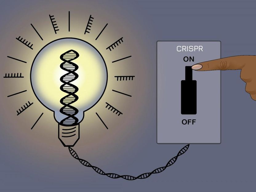 Jennifer Cook-Chrysos/Whitehead Institute