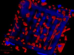 3D-Druck lebender Zellen erstmals direkt aus Zellkultur möglich