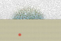 Kernspin-Untersuchungen in der Nanowelt