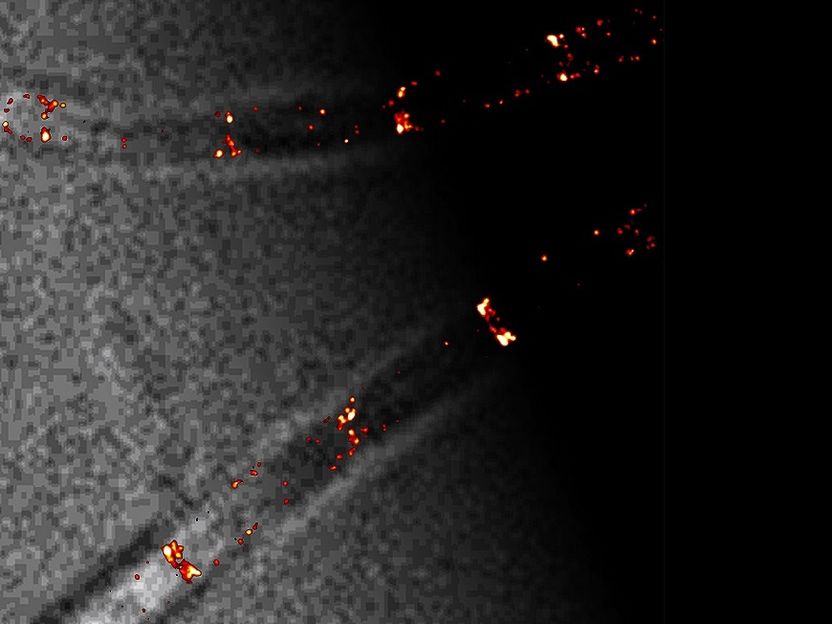 Watching cell division live - Highest resolution insights into living cells