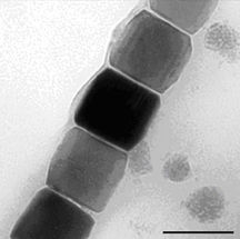 Die Kinderstube der Nanopartikel