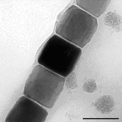 Die Kinderstube der Nanopartikel - Ein neues Modell ermöglicht Vorhersagen, wie Nanopartikel entstehen und gibt Hinweise, wie sich der Prozess steuern lässt