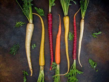 Bio-Lebensmittel: Von der Randerscheinung zum Massenprodukt