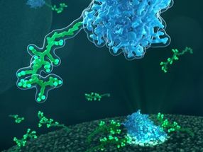 Los investigadores logran un gran avance en el interior de las células