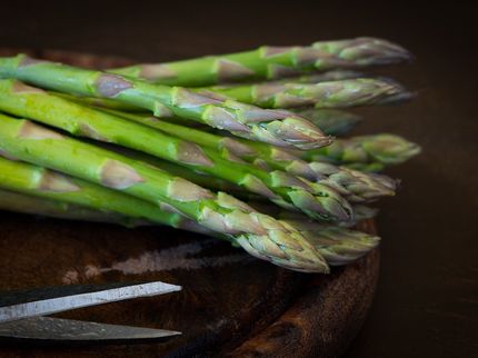 Die VERBRAUCHER INITIATIVE