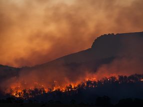 De los cielos humeantes a un horizonte verde: Los científicos convierten los residuos de madera con riesgo de incendio en biocombustible