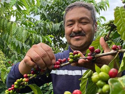 Nestlé scientists discover unique low carbon and drought resistant coffee varieties