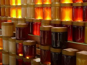 Gurken, Eier & Honig: Bio-Importe lösen oft keine Probleme, sondern schaffen neue