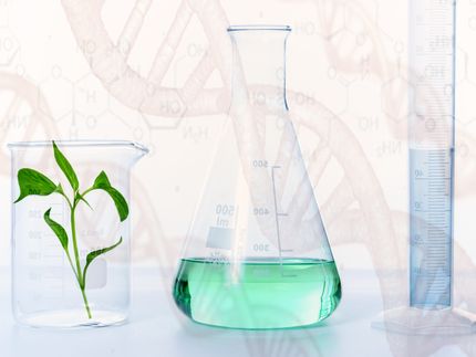 Mehr Lebensmittel mit Ohne-Gentechnik-Siegel verkauft