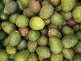 New sustainable packaging will extend guacamole’s shelf life by 15% thanks to labels and additives extracted from the avocado itself