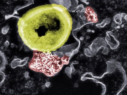 Fighting harmful bacteria with nanoparticles