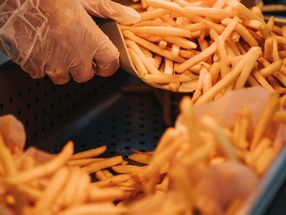 Fritland Belgium: Potato industry in crisis