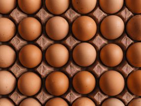 Etiquetado de los huevos: muchos países de la UE apoyan la propuesta de Klöckner