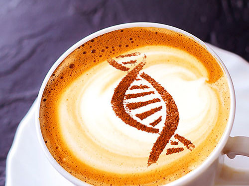 Espresso, latte or decaf? - Genetic code drives your desire for coffee