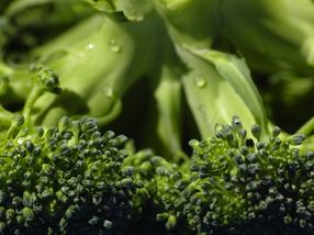 Verbindung, die in einigen Gemüsesorten gefunden wird, kann diabetesbedingte Nierenschäden reduzieren