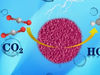 CO2 Catalysis Made More Accessible