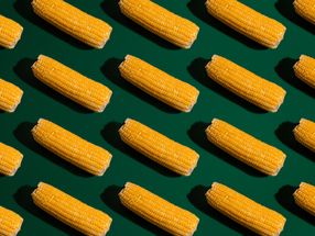 Un gen mutante del maíz aumenta el azúcar en las semillas y en las hojas, lo que podría conducir a la obtención de un mejor cultivo