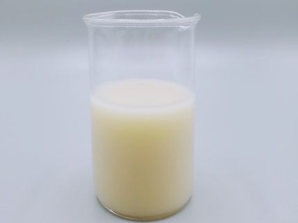 World’s first dairy-free milk produced from micro-algae