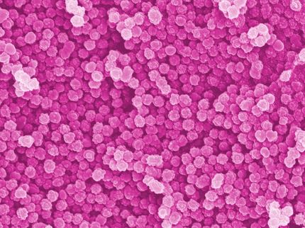 Nanoplastics – an underestimated problem?