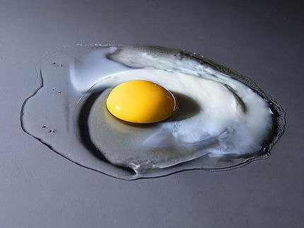 The egg in the X-ray beam