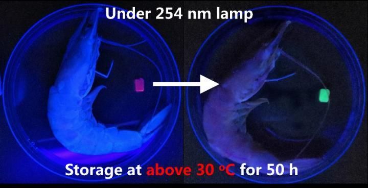 Lu et al./Cell Reports Physical Science