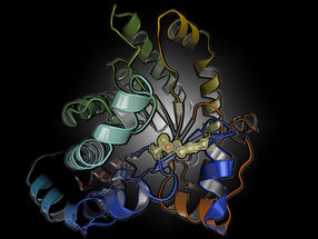 Neuartiger „An/Aus“-Schalter in Proteinen entdeckt