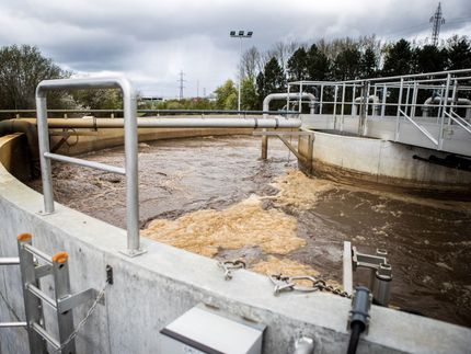 Carlsberg opens water recycling plant and becomes the world’s most water efficient brewery