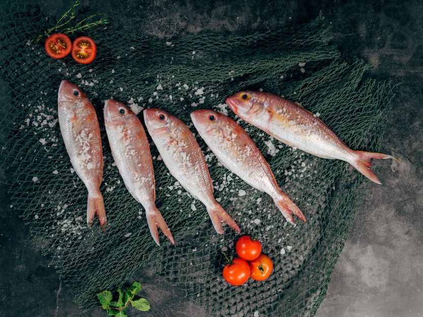 Welternährungspreis geht an Ernährungsexperten für Fischforschung