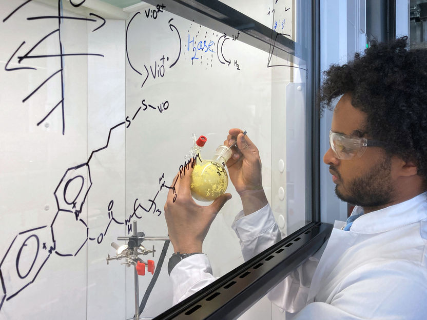 Enzyme system for the hydrogen industry - Platinum-free biocatalyst for fuel cells and water electrolysis