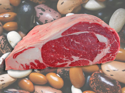 Produktion von Fleischersatz-Produkten wächst schnell