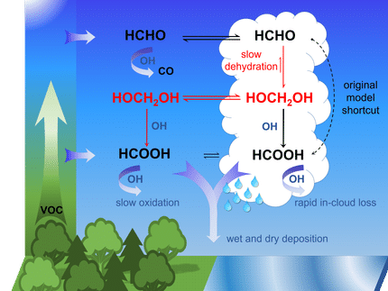 Mechanism Deciphered: How Organic Acids Are Formed in the Atmosphere