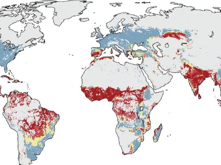 Climate change threatens one-third of global food productio - New estimates show that if greenhouse gases continue growing at current rates, large regions at risk of being pushed into climate conditions in which no food is grown today