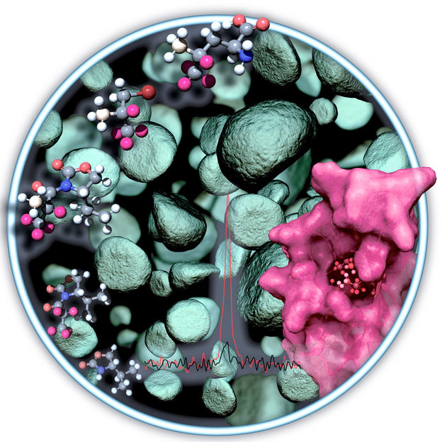 Tiny sensors for major advances - Using NMR spectrometry to analyse important molecules that have not been accessible before now