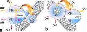 Lehrstuhl für Physikalische Chemie I der FAU