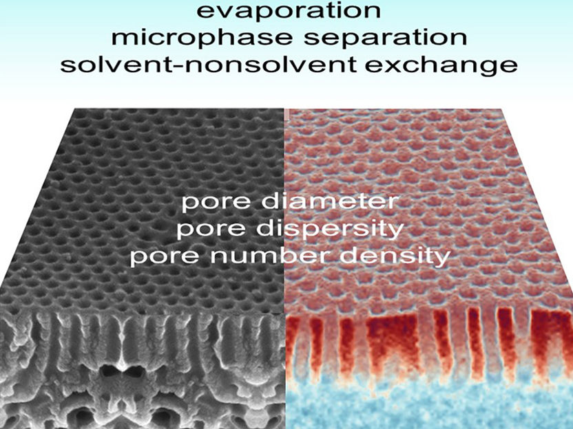 Membranen besser verstehen - Eine neue Klasse von Membranen verspricht hochinteressante Anwendungen bei der Stofftrennung – sei es in der Biotechnologie oder der Wasserreinigung