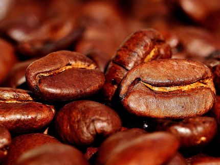 Convertir la pulpa de café en abono