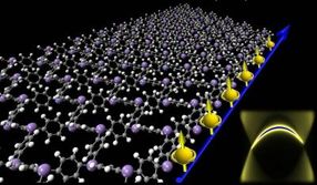 Organic Topological Insulator